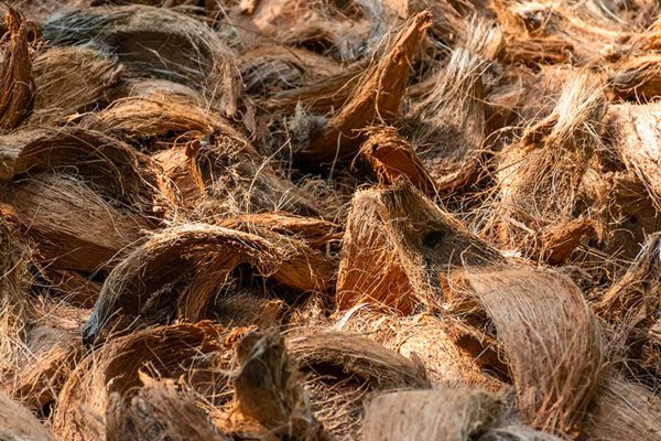 Husks