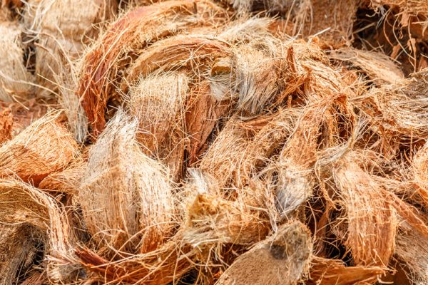 coconust husks2