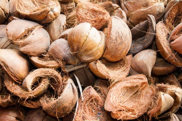 coconut-husks